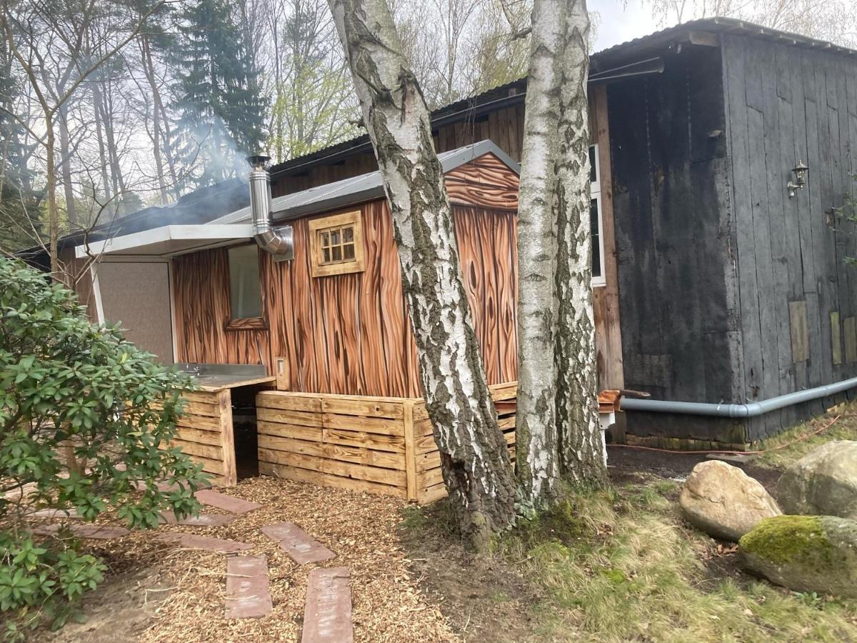 Glamping Krauschwitz
